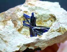 816g Large High Quality Azurite on Matrix - Touissit, Oujda, Morocco picture