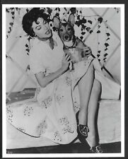 HOLLYWOOD AVA GARDNER ACTRESS WITH A DOG VINTAGE ORIGINAL PHOTO picture