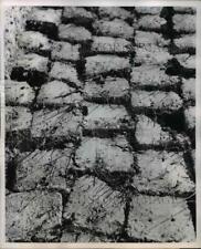 1954 Press Photo Teprone for the bricks of mud houses picture