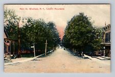 Windham NY-New York, Main St In The Catskills Mountains Vintage c1909 Postcard picture