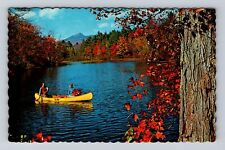 Sharbot Lake Ontario-Canada, Greetings, Canoeing on Lake, Vintage Postcard picture