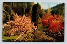 Victoria British Columbia Canada Butchart Gardens Spring Time DB Postcard picture