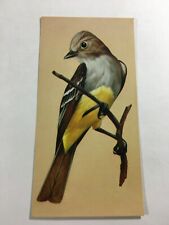 Vintage Beautiful Bird Art Print 6X3