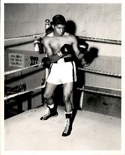 LG930 1965 Orig Photo TED WHITFIELD Boston Area Welterweight Boxer Fight Stance picture