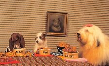 Three Dogs Having Lunch, Max, Pal and Daisy Chrome Postcard picture