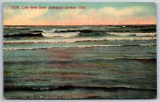 Ashtabula Harbor Ohio~Lake Erie Surf~c1910 Postcard picture