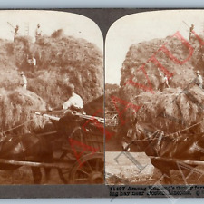 c1900s Boston, Lincolnshire, England Farmers Hay Stack Real Photo Stereoview V44 picture