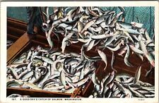WA-Washington, A Good Day's Catch Salmon, Vintage Postcard picture
