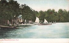 Back Pond Lake Massabesic New Hampshire NH Sailboats c1906 Vintage Postcard picture
