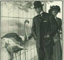 1907 Tropical Flamingos Zoo Hart Schaffner Clothing LEYENDECKER Original Ad 5167 picture