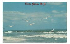 Ocean Grove NJ Postcard New Jersey Sea Gulls Beach picture