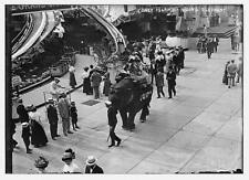 Photo:Coney Island,Riding Elephant,New York,June 18,1911,JUDY,people,rides picture