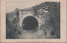 Postcard Entrance of the Subway Sidney NY  picture