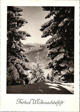 Vtg German Postcard Frohes Weihnachtsfelt (Merry Christmas) trees snow  picture