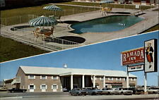 Deming New Mexico Ramada Inn pool 1960 Mustang Lincoln Continental 1966 postcard picture