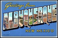 Postcard Greetings From Albuquerque NM N55 picture