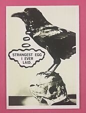 1967 Topps TERROR TALES Card #35 Strangest Egg I ever Laid Excellent S169 picture