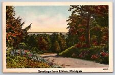 Greetings Form Elkton Michigan Linen Postcard POSTED 1951 picture