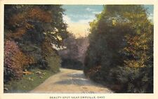 Orville Ohio 1920s Greetings Postcard Dirt Road Through The Woods picture