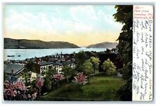 1907 View From Downing Park Newburg New York NY Posted Antique Postcard picture