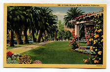 PALM SHADED WALK SOUTHERN CALIFORNIA BEAUTIFUL PARKS AND GARDENS picture