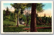 Mark Twain Cave Hannibal Missouri MO Flower Garden Historic Vintage UNP Postcard picture