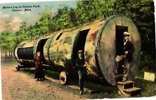 Woman & Men at Spruce Log Palmer Park Detroit MI Divided Unused Postcard c1910s picture