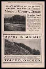1912 Toledo Oregon Lincoln County Angora Goats Photo 