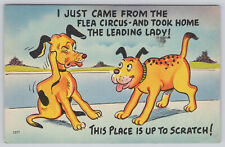 Postcard This Place Is Up To Scratch Dog Comic (498) picture