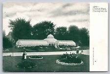 National Parks~Air View Central Park Davenport Iowa~Vintage Postcard picture
