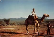 1970s Man on A Camel 5x3.5 in Color Snapshot Vintage Safari picture
