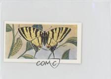 1958 Swettenhams Tea Butterflies and Moths Scarce Swallowtail #10 11z5 picture