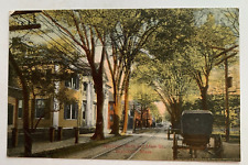 ca 1900s MA Postcard Massachusetts Cape Cod Wareham Bank and Main Street wagon picture