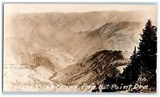 c1940's Snake River Canyon From Hat Point Oregon OR Vintage RPPC Photo Postcard picture