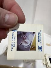 35mm Slides 1960’s Wedding, Beach Lake, Navy Seaman, Cat Drinking Toilet, Car 79 picture