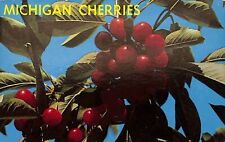 Michigan Cherries Chrome Postcard Dexter 1960s Unposted Fruit picture