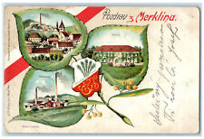c1905 Greetings from Merklina Austria Multiview Leaves Posted Postcard picture