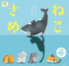 Nekosame Cat shark Mascot Capsule Toy 5 Types Full Comp Set Gacha New Japan picture
