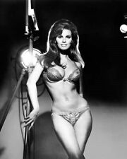 Raquel Welch sizzles in this iconic 1960's pinup in bra & panties 24x36 poster picture