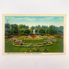 Postcard Pennyslvania Wilkes-Barre PA River Common Flower Garden 1923 Posted picture