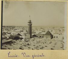 Tunis. General view. Tunisia. Tunisia. 1904 Citrate Print. picture
