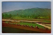 Arcadia CA-California, Horses Parading Post, Santa Anita Park, Vintage Postcard picture