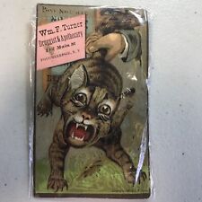 1880's Cat Tail Turner Apothecary Poughkeepsie, NY Geo M Hayes Trade Card picture