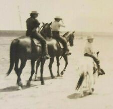 Vintage B&W Photograph WWII Era Australia Beach Horseback Riders and Boy on Pony picture