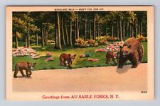 Au Sable Forks NY-New York, Scenic Greetings, Woodland Falls Vintage Postcard picture