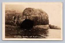 Sea Lion Rocks ~ Netarts Beach Oregon RPPC Vintage Tillamook County Photo ~1920s picture