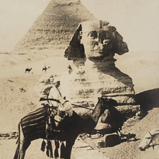 Great Sphinx Giza Camel RPPC Postcard c1911 Great Pyramid Egypt Desert A1084 picture