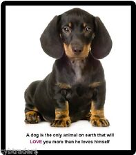 Cute Black Dachshund Puppy Dog Refrigerator  / Tool Box Magnet picture
