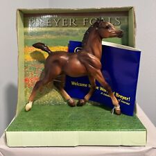 Vintage 2004 Breyer Foals Traditional Series with original catalog (Damaged Box) picture