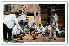 c1910's A Cock Fight In Panama Chicken Animals Unposted Antique Postcard picture